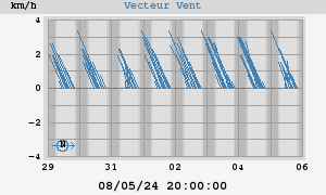 Wind Vector